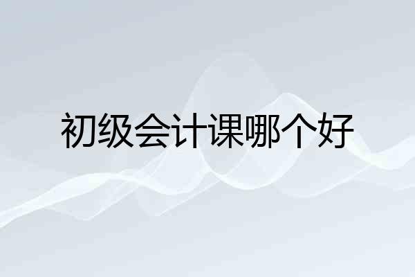 初级会计课哪个好