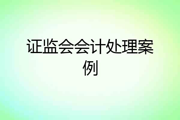 证监会会计处理案例