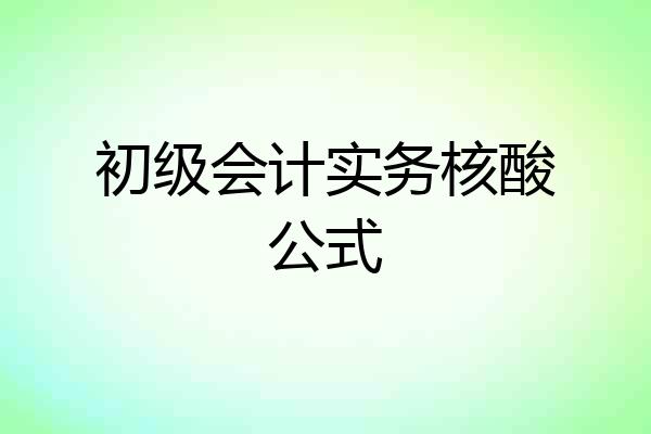 初级会计实务核酸公式