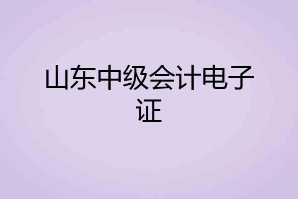 山东中级会计电子证