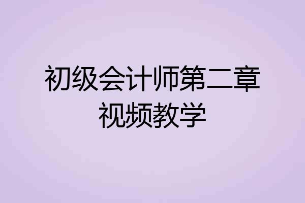 初级会计师第二章视频教学