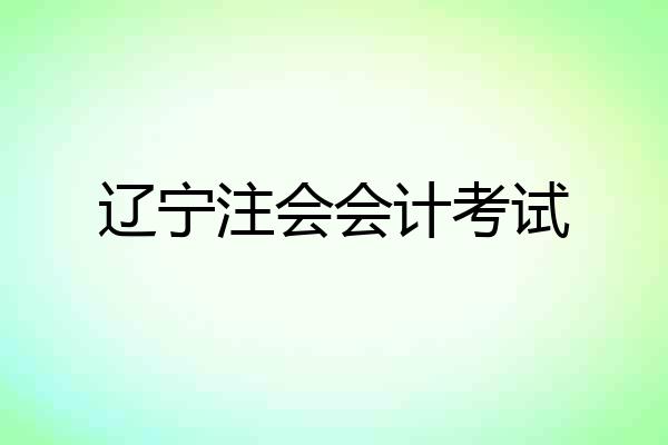 辽宁注会会计考试