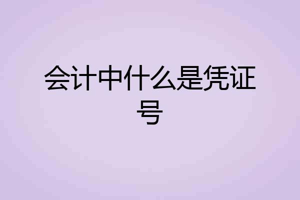 会计中什么是凭证号