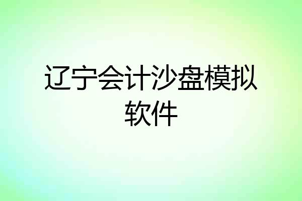 辽宁会计沙盘模拟软件