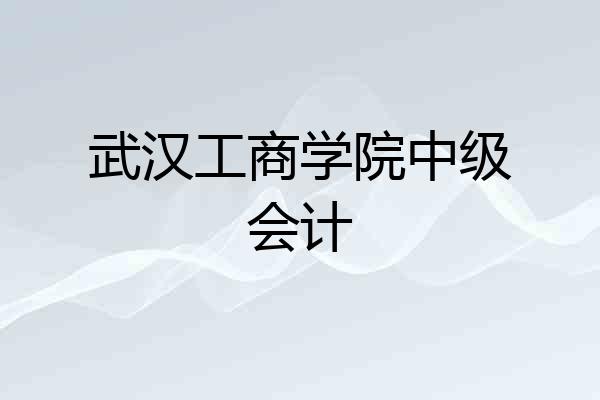 武汉工商学院中级会计