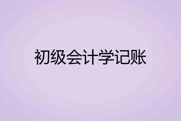 初级会计学记账