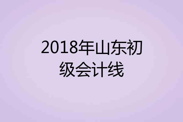 2018年山东初级会计线