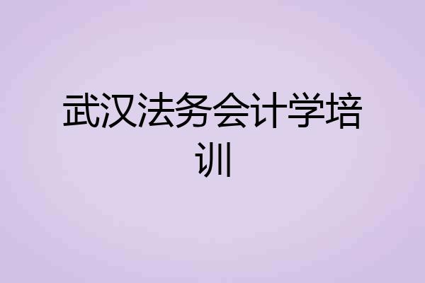 武汉法务会计学培训
