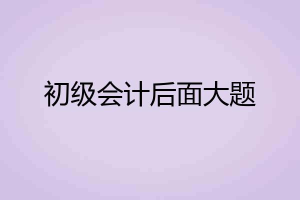 初级会计后面大题
