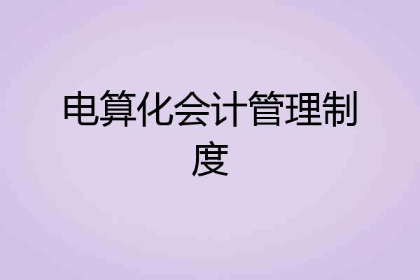 电算化会计管理制度