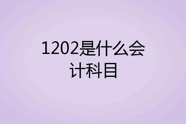 1202是什么会计科目