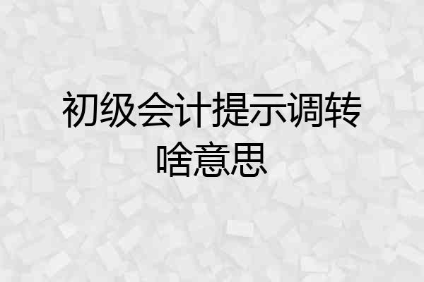 初级会计提示调转啥意思