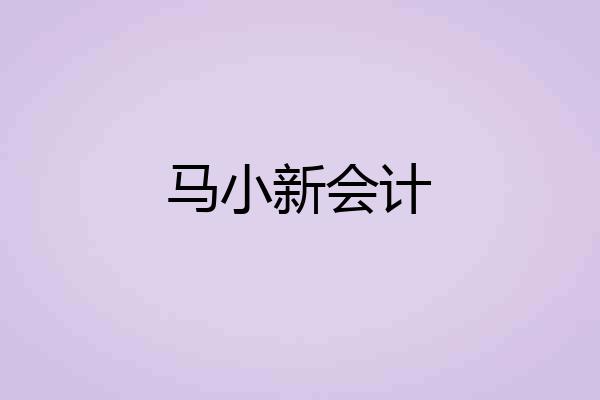 马小新会计