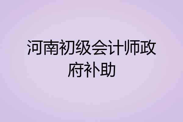 河南初级会计师政府补助