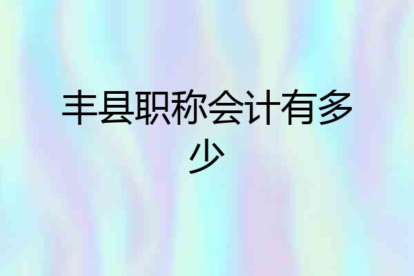 丰县职称会计有多少
