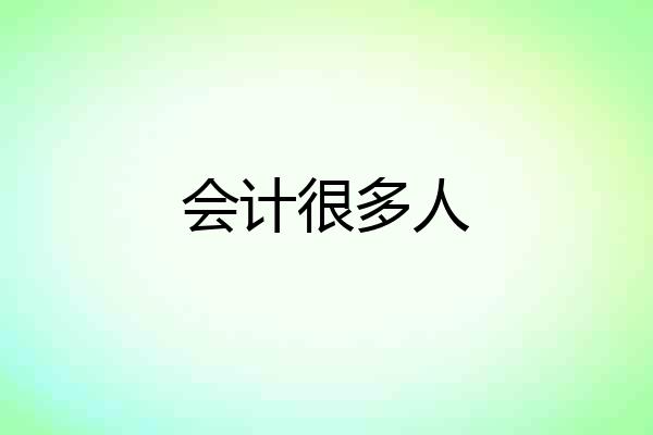 会计很多人