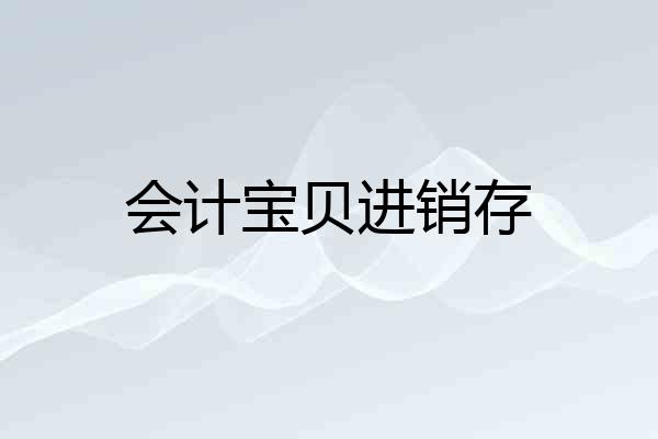 会计宝贝进销存
