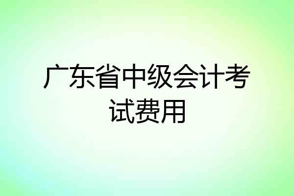 广东省中级会计考试费用
