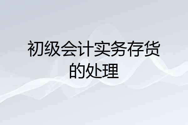初级会计实务存货的处理