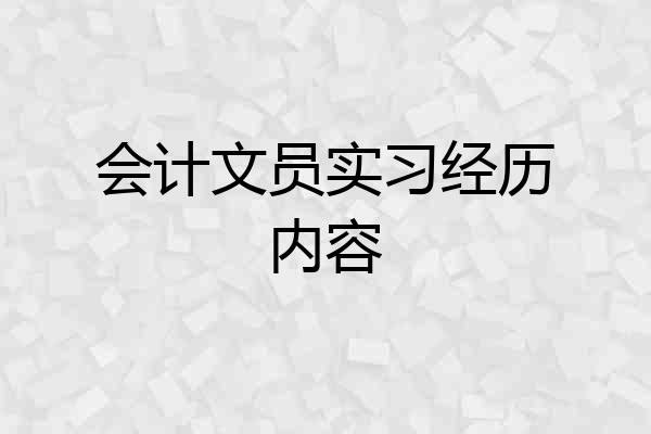 会计文员实习经历内容