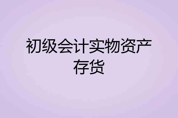 初级会计实物资产存货