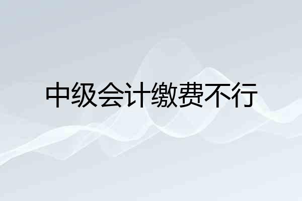 中级会计缴费不行