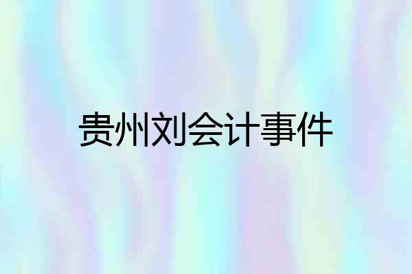 贵州刘会计事件