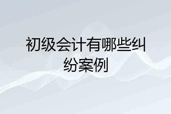 初级会计有哪些纠纷案例