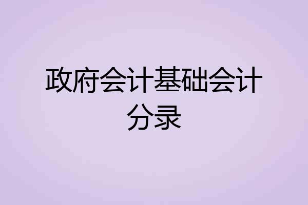 政府会计基础会计分录