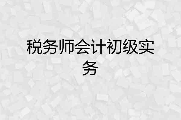 税务师会计初级实务
