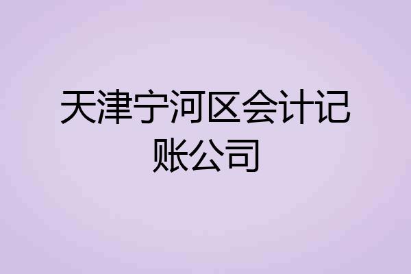 天津宁河区会计记账公司