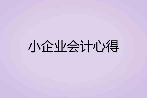 小企业会计心得