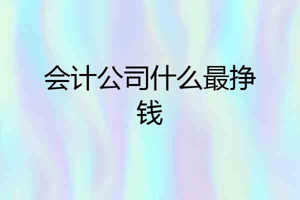 会计公司什么最挣钱