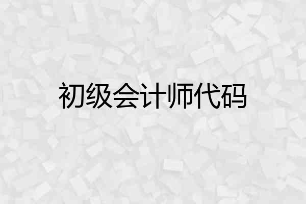 初级会计师代码