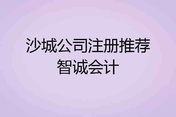 沙城公司注册推荐智诚会计