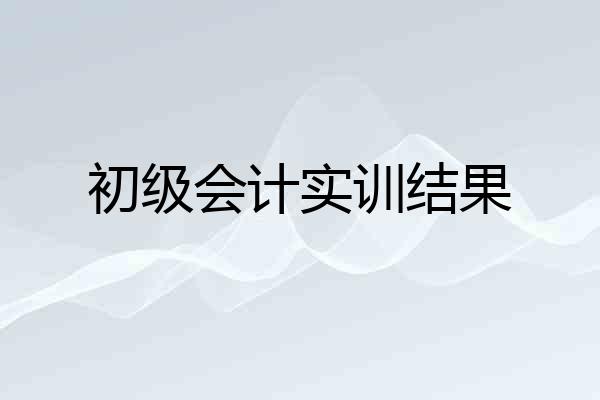 初级会计实训结果