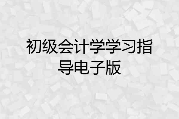 初级会计学学习指导电子版