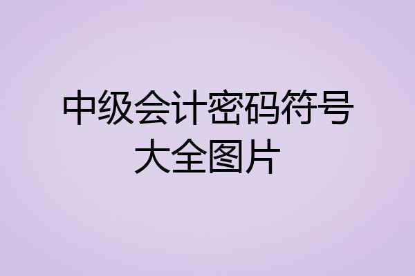 中级会计密码符号大全图片