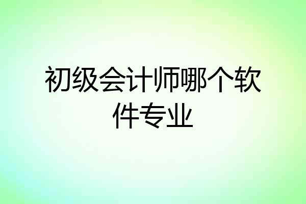 初级会计师哪个软件专业