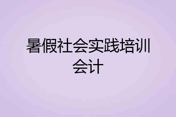 暑假社会实践培训会计