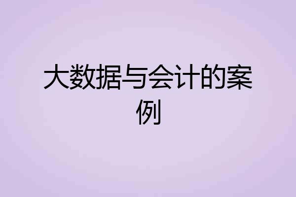 大数据与会计的案例