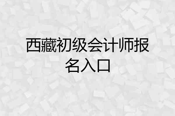 西藏初级会计师报名入口