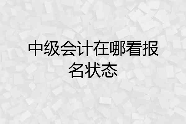 中级会计在哪看报名状态