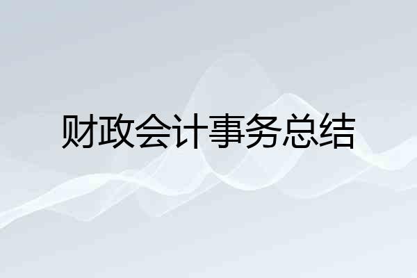 财政会计事务总结
