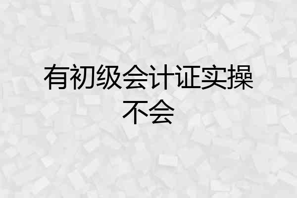 有初级会计证实操不会