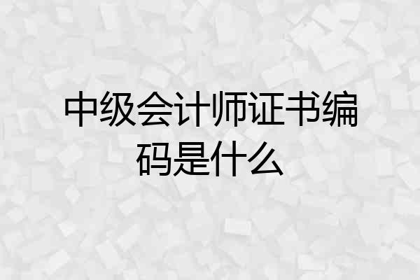 中级会计师证书编码是什么