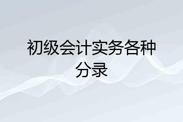 初级会计实务各种分录