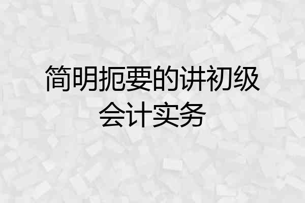 简明扼要的讲初级会计实务