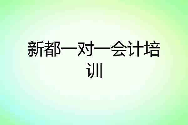 新都一对一会计培训