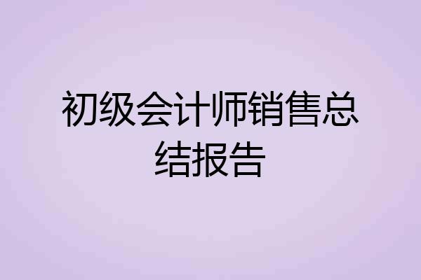 初级会计师销售总结报告